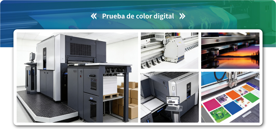 网页2026-11 网页2026-11